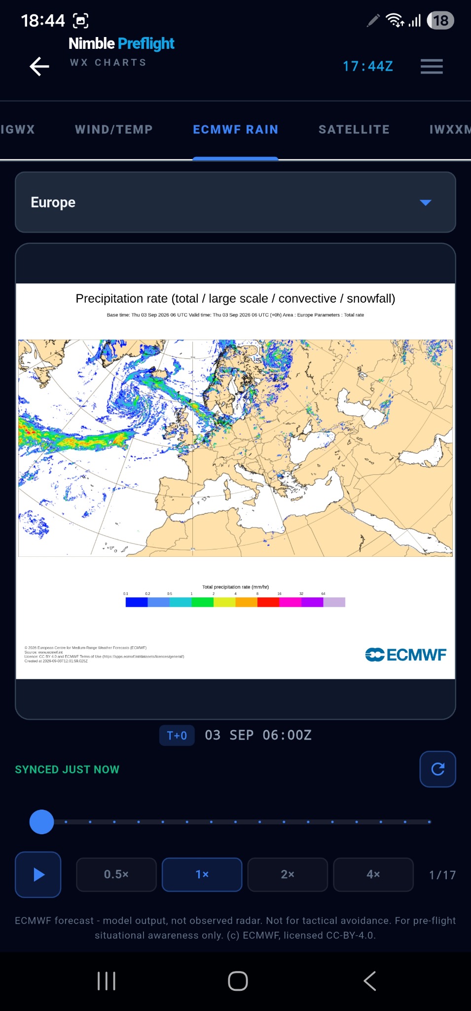 ECMWF precipitation forecast animation with timeline scrubber